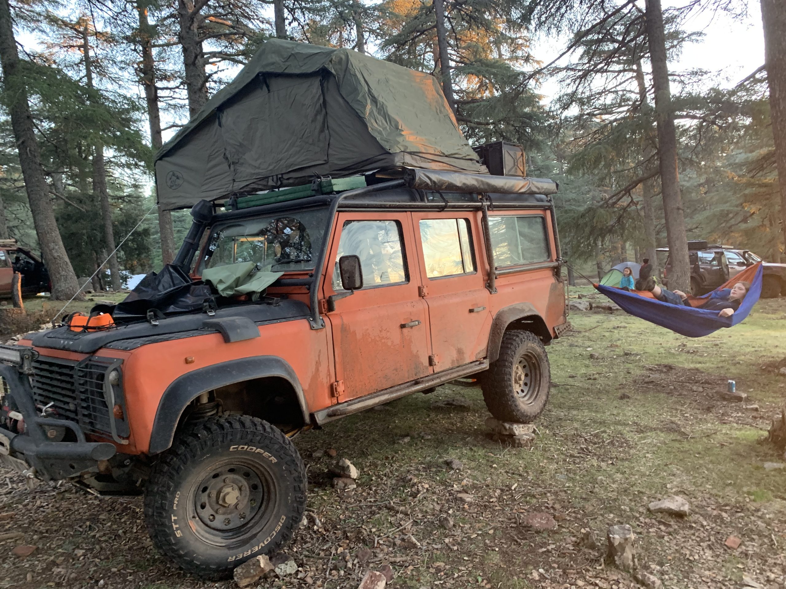 ADV roof tent in cedar forest